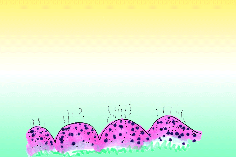 GIF-Animation Xundheitspackerl August 2017