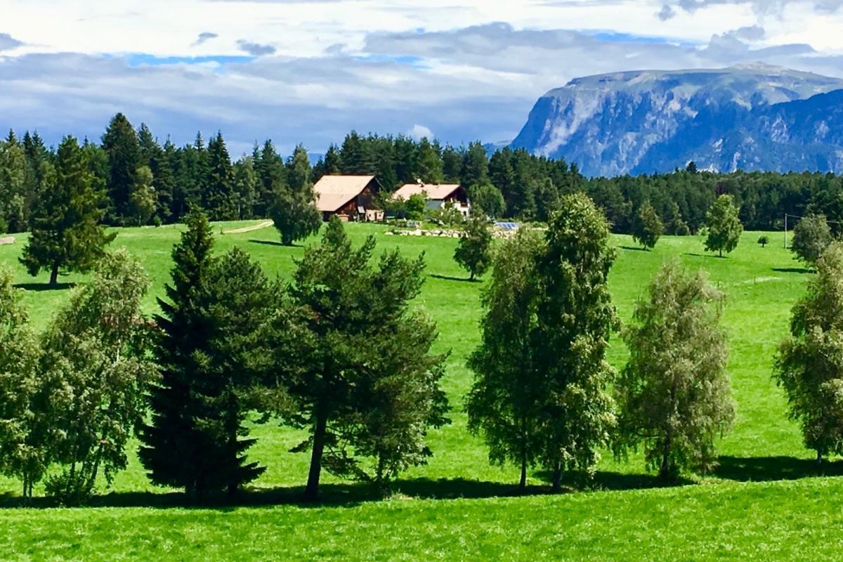 Werkstätte in Südtirol von Walking Chair