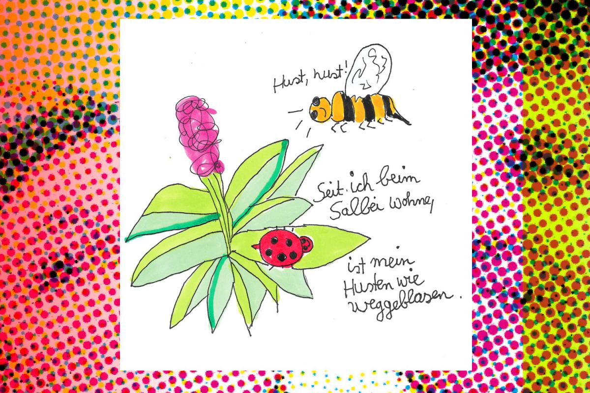Humoristische Zeichnung einer Biene, die zu einer Salbei-Pflanze fliegt und sagt: 